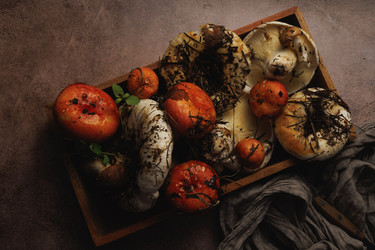 Similar image 21611872