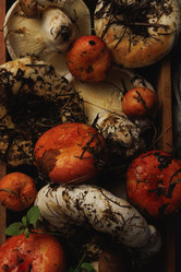 Similar image 21611873