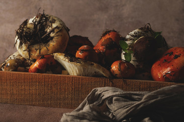 Similar image 21611874