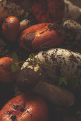 Similar image 21611875