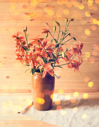 Similar image 21552843