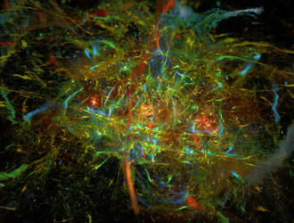 Similar image 21620795