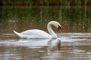 Similar image 21553343