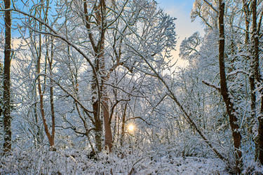 Similar image 21553344