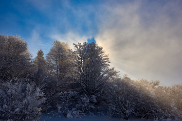 Similar image 21553345