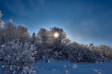 Similar image 21553348