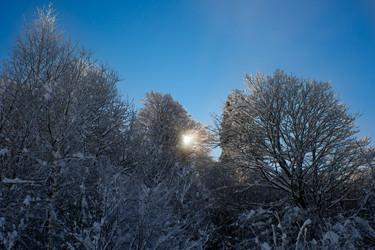 Similar image 21553349