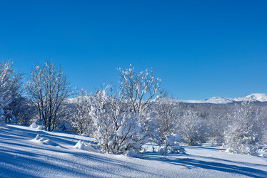 Similar image 21553352