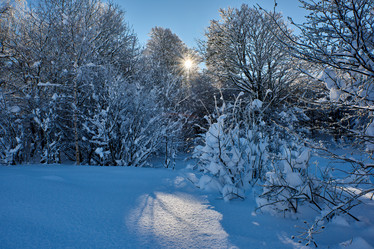 Similar image 21553353