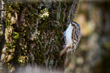 Similar image 21553354