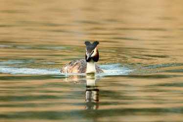 Similar image 21553355