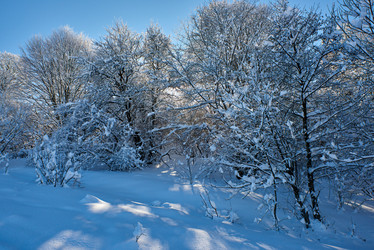 Similar image 21553356