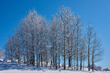 Similar image 21553357