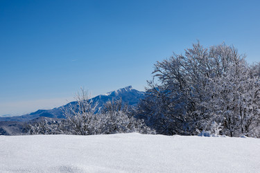 Similar image 21553361