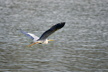 Similar image 21553363