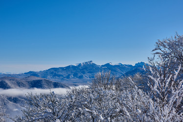 Similar image 21552943