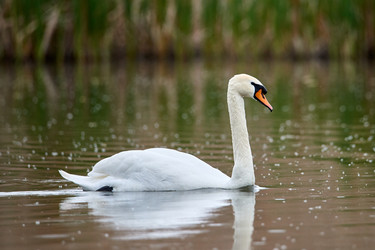 Similar image 21552946