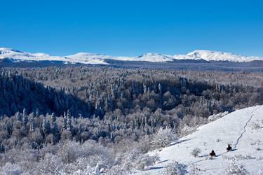 Similar image 21552948