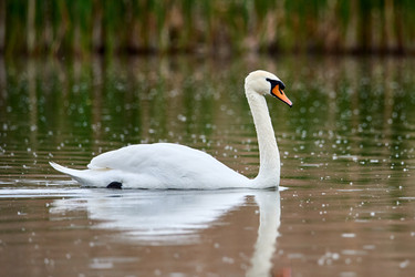 Similar image 21552950