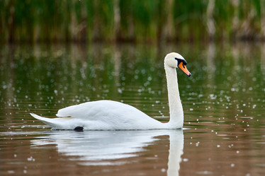 Similar image 21552952