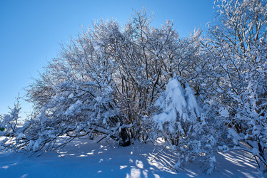 Similar image 21552955