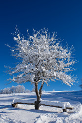 Similar image 21552956