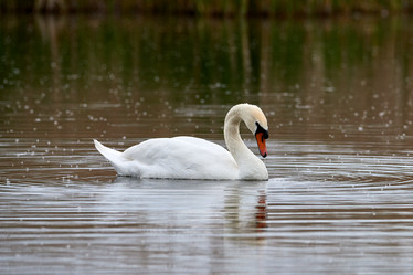 Similar image 21552957