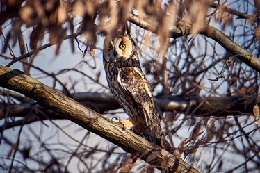 Similar image 21552959