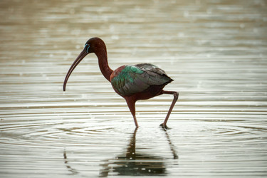 Similar image 21552960