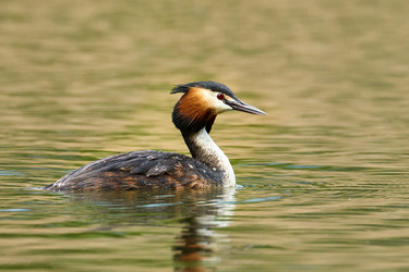 Similar image 21553122