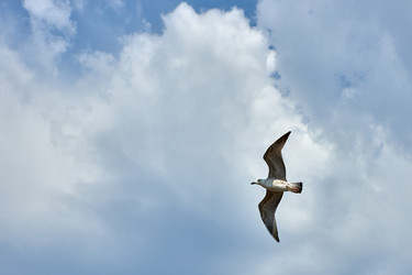 Similar image 21553134