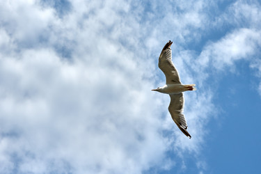 Similar image 21553138