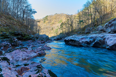 Similar image 21553145