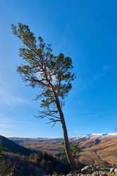 Similar image 21553147