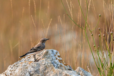 Similar image 21553148