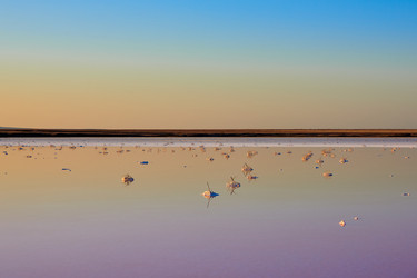 Similar image 21553157