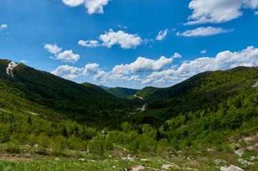 Similar image 21553158