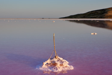 Similar image 21553159