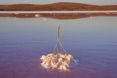 Similar image 21553166