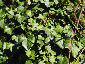 Similar image 21627024