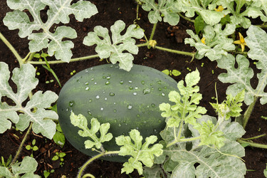 Similar image 21553413