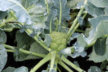 Similar image 21553414