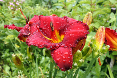 Similar image 21553417