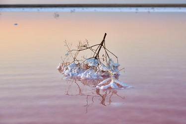 Similar image 21553176