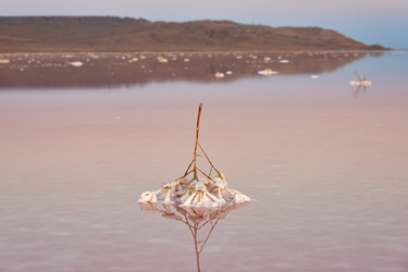 Similar image 21553177