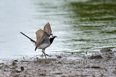 Similar image 21553369