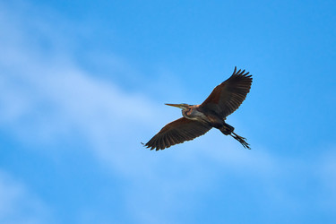 Similar image 21553372