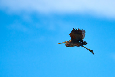 Similar image 21553373