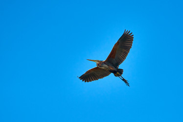 Similar image 21553377