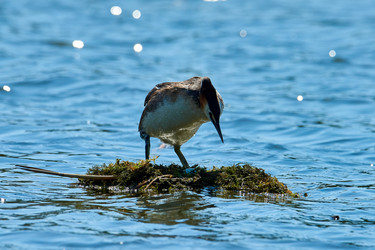 Similar image 21553380